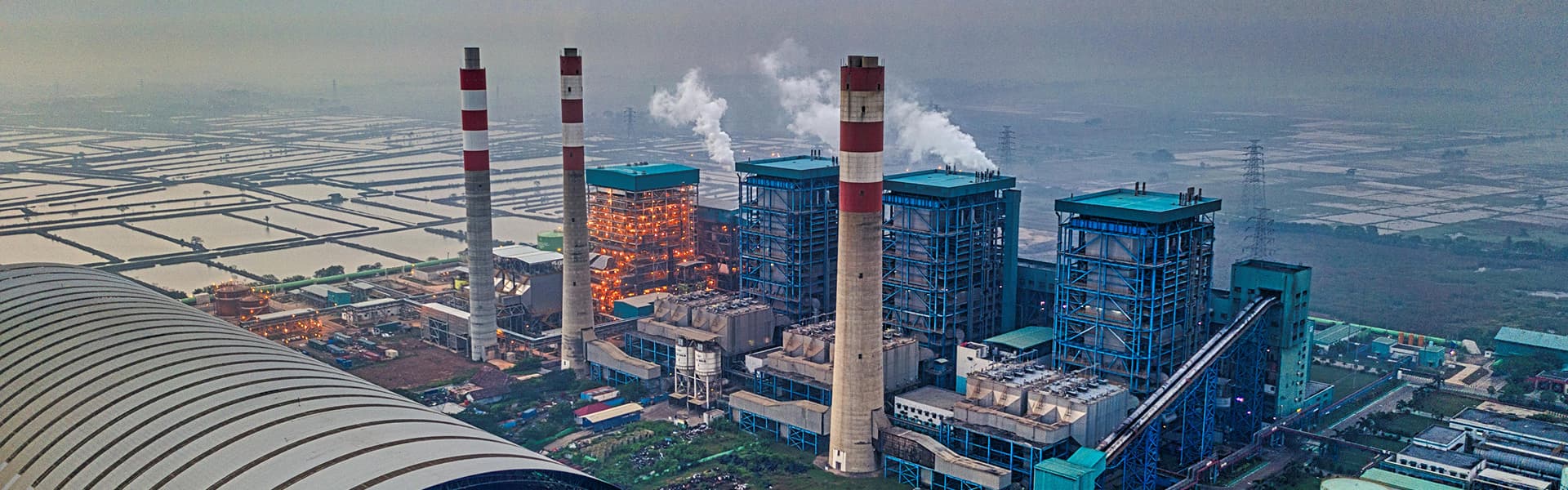 Ըստ տեսակի background image